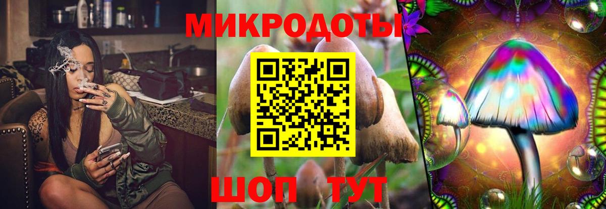 Прохладный  Галлюциногенные грибы Cubensis  Псилоцибиновые грибы прущие грибы  Вход с VPN 